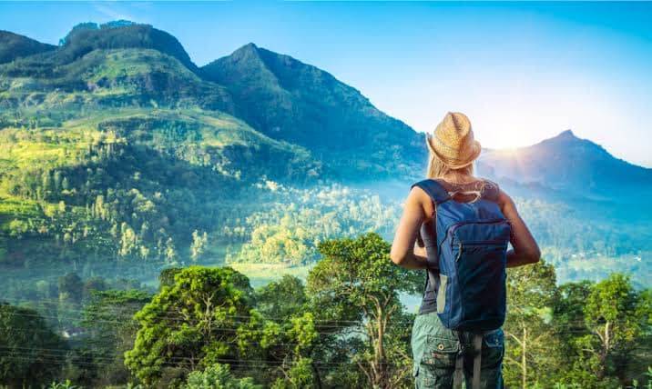 Ein Reisender mit Rucksack blickt über das grüne Hochland Sri Lankas