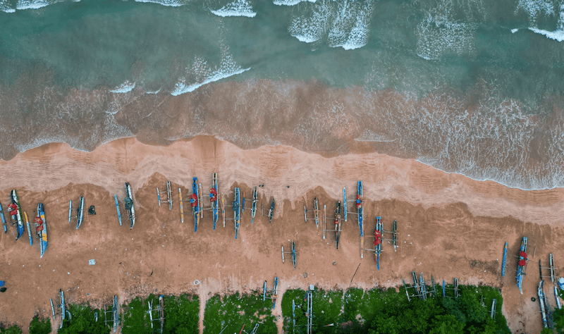 The Surfer Beach Camp