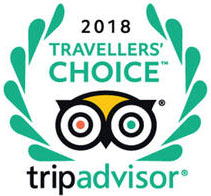 trip advisor travellers choice