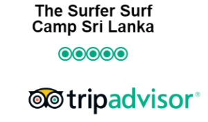 tripadvisor-reviews